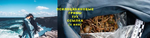 соль ск Арсеньев