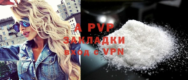 ECSTASY Богородицк