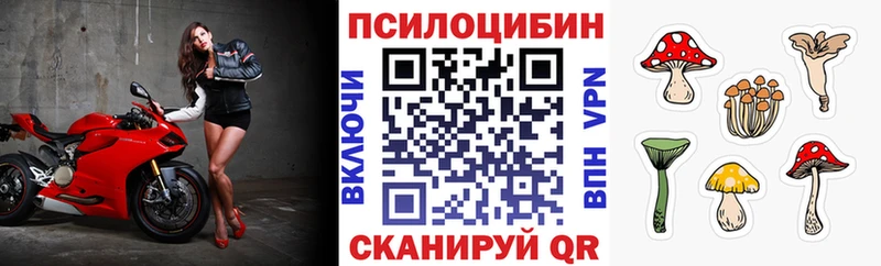 blacksprut ССЫЛКА мориарти формула Галлюциногенные грибы Psilocybe Луховицы