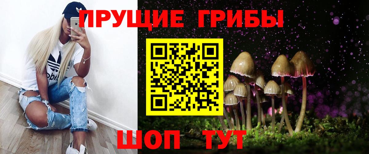 Псилоцибиновые грибы MAGIC MUSHROOMS  Вход с VPN  Луховицы 